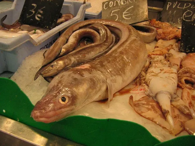 Kinderflohmarkt 2019