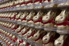 EVU_Fasnacht_2020-3