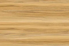 EVU_Werken_Holzwerkstatt-4620
