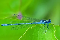DSC_7658_jpg