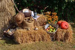 EVU_Castagnata_Oktober_2012_073_jpg