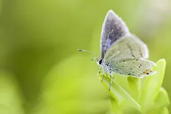 EVU_Flohmi-4514_jpg