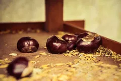 EVU_Castagnata_Oktober_2012_036_jpg