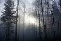 DSC_7736_jpg