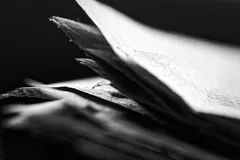 IMG_0769
