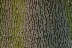 EVU_Werken_Holzwerkstatt-4656