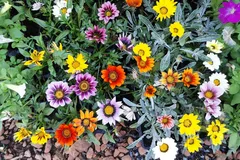 Foto_8_Foitini_JPG