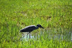 IMG_3514