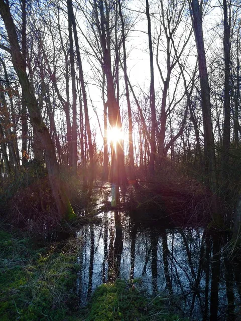 EVU_Fackelspaziergang-3950