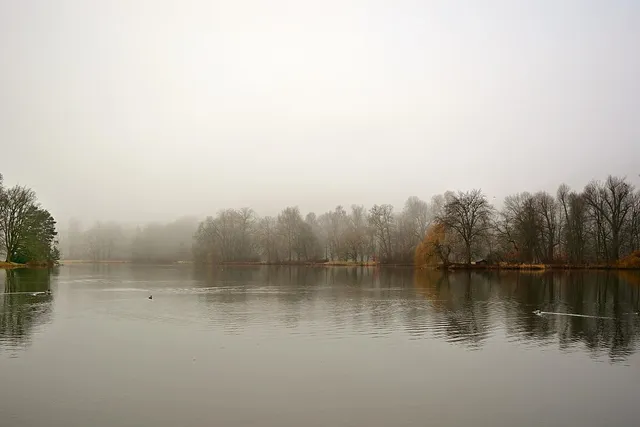 EVU_Fackelspaziergang-3987