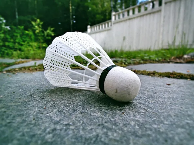 Badminton 2017