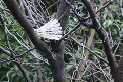 DSCN0856_JPG