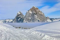 DSC_1259_JPG