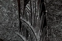 1_P1010823