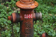 IMG_1462_JPG