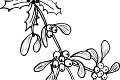 P1010045