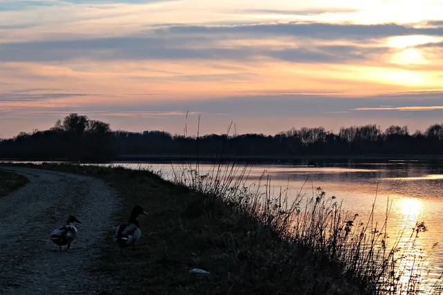 EVU_Fackelspaziergang_0553