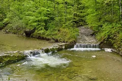 IMG_9160_jpg