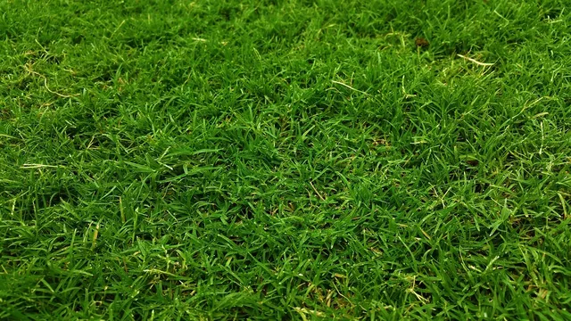 P1200817_JPG
