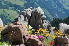 EVU_Rollender_Sonntag-4137
