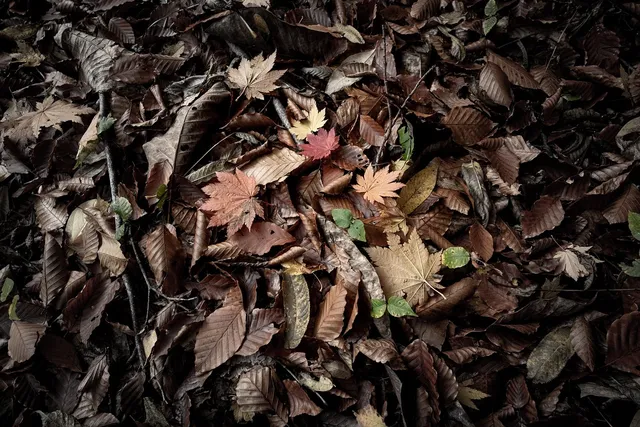 WhatsApp-Image-2022-09-05-at-21.39.33