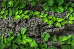 EVU_Werken_Holzwerkstatt-4659