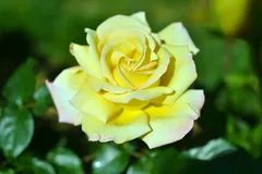 8b13937a-ab32-48d1-b490-73fd507dc674