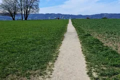 DSCN8933_JPG