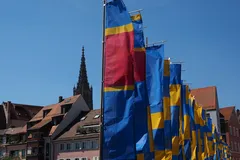 IMG_3534