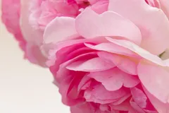 P1050110