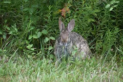 IMG_20210327_102246-1