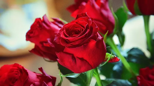 DSCF1650