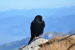 DSCN8923_JPG